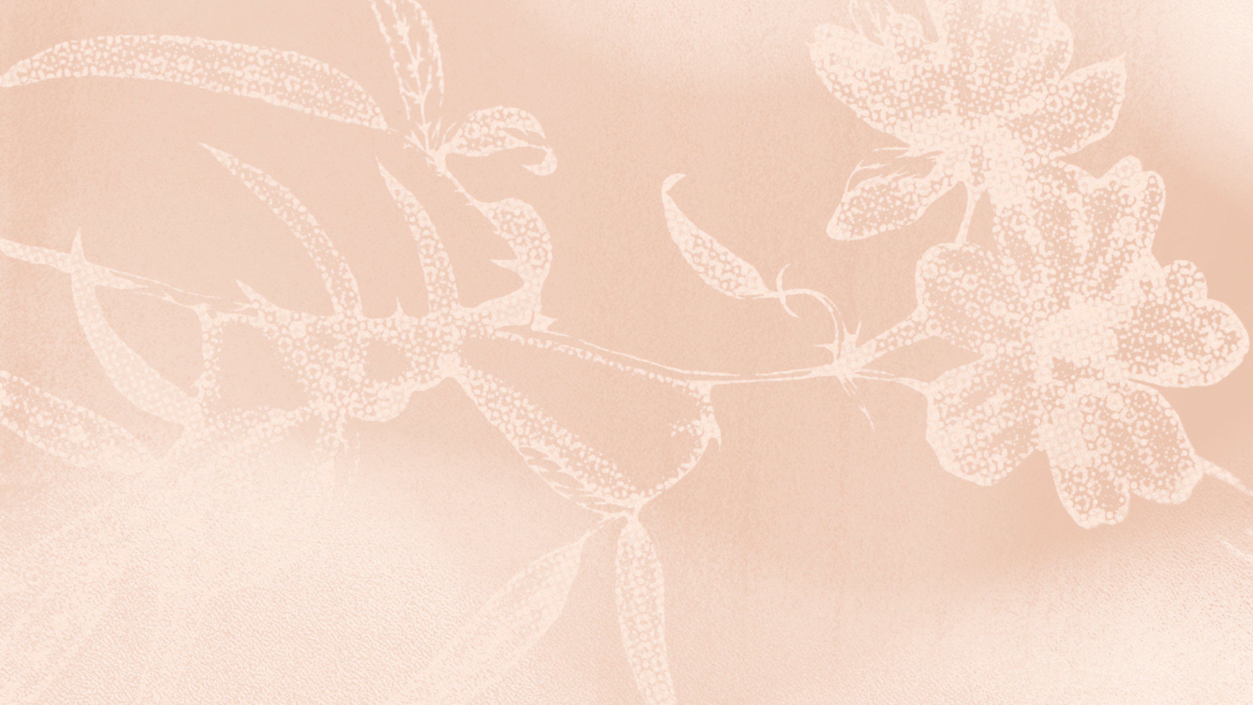 Modal Background